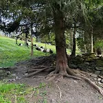 Rakosarna & * Špindlerŭv Mlýn