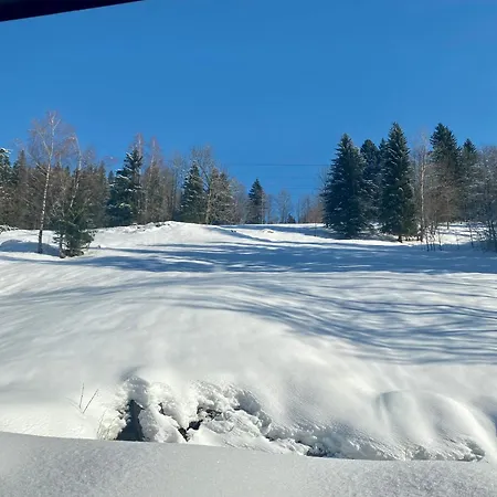 Rakosarna & Appartement Špindlerŭv Mlýn