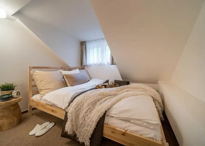 Rakosarna & Apartament Szpindlerowy Młyn
